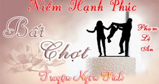 Niềm hạnh phúc bất chợt Full Truyện ngôn tình audio mới 2016