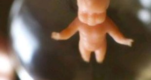 Truyện ma mới Những Vong Không Siêu Thoát tác giả Ngọ Hường